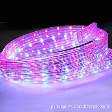 Flat Sharp, Different Colors, AC100-240V, RGB LED Rope Light